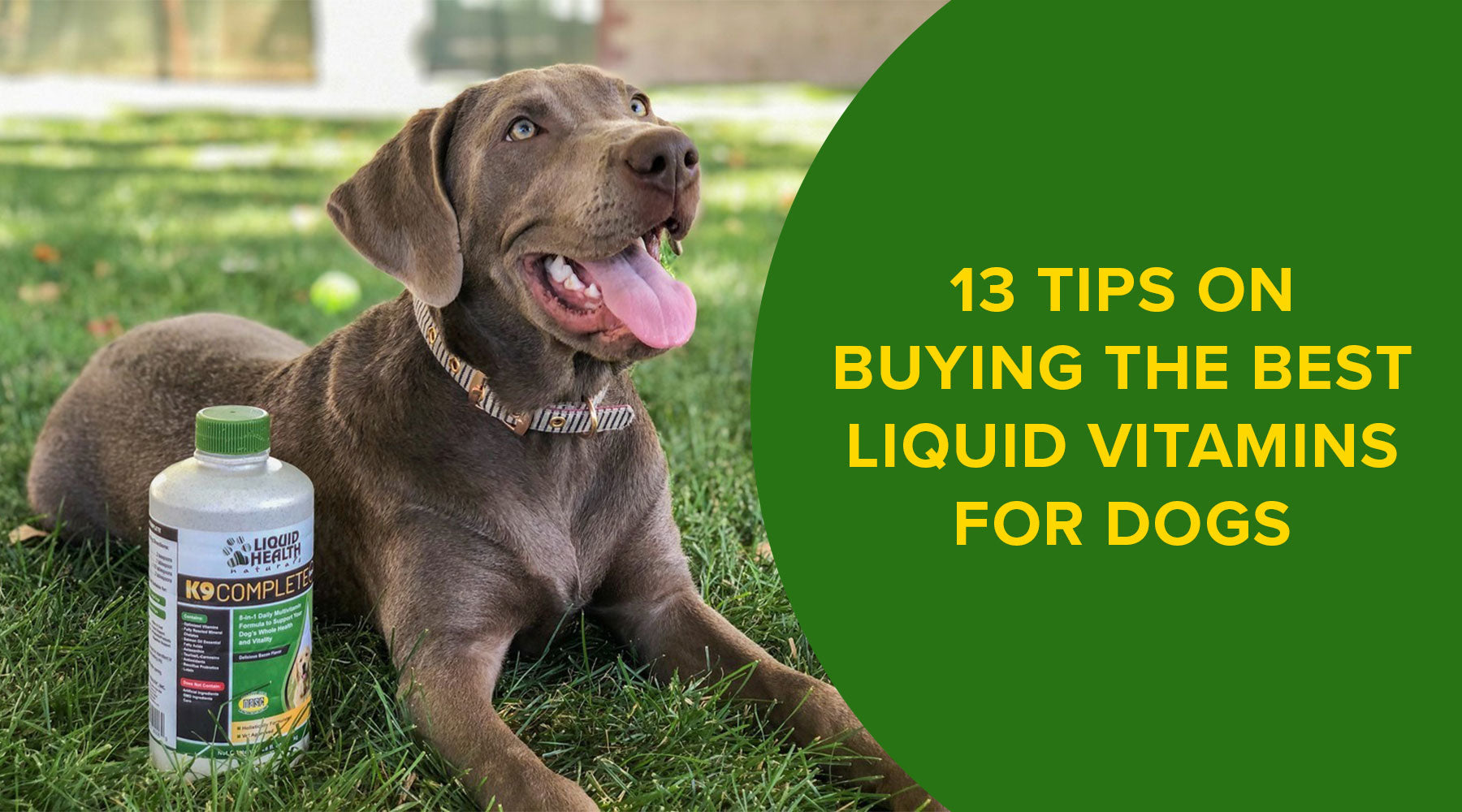 13 Tips on Buying the Best Liquid Vitamins for Dogs Liquid Health Pets