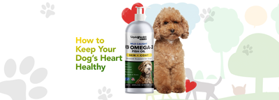 How to Keep Your Dog’s Heart Healthy