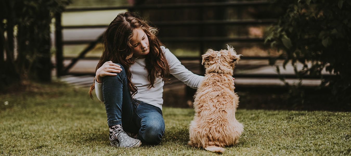 Woman petting a dog next to a fence