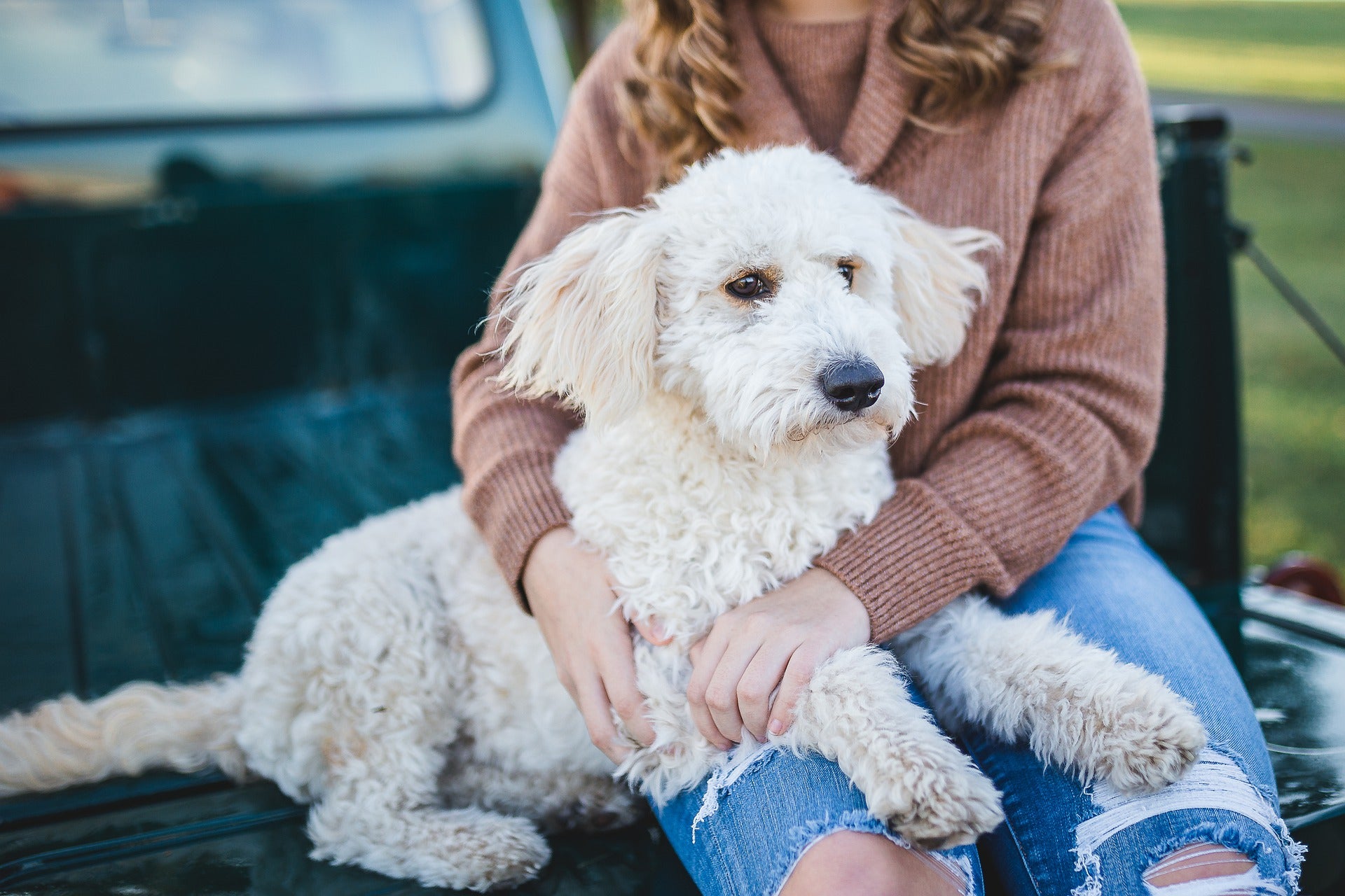 Woman holding her white dog