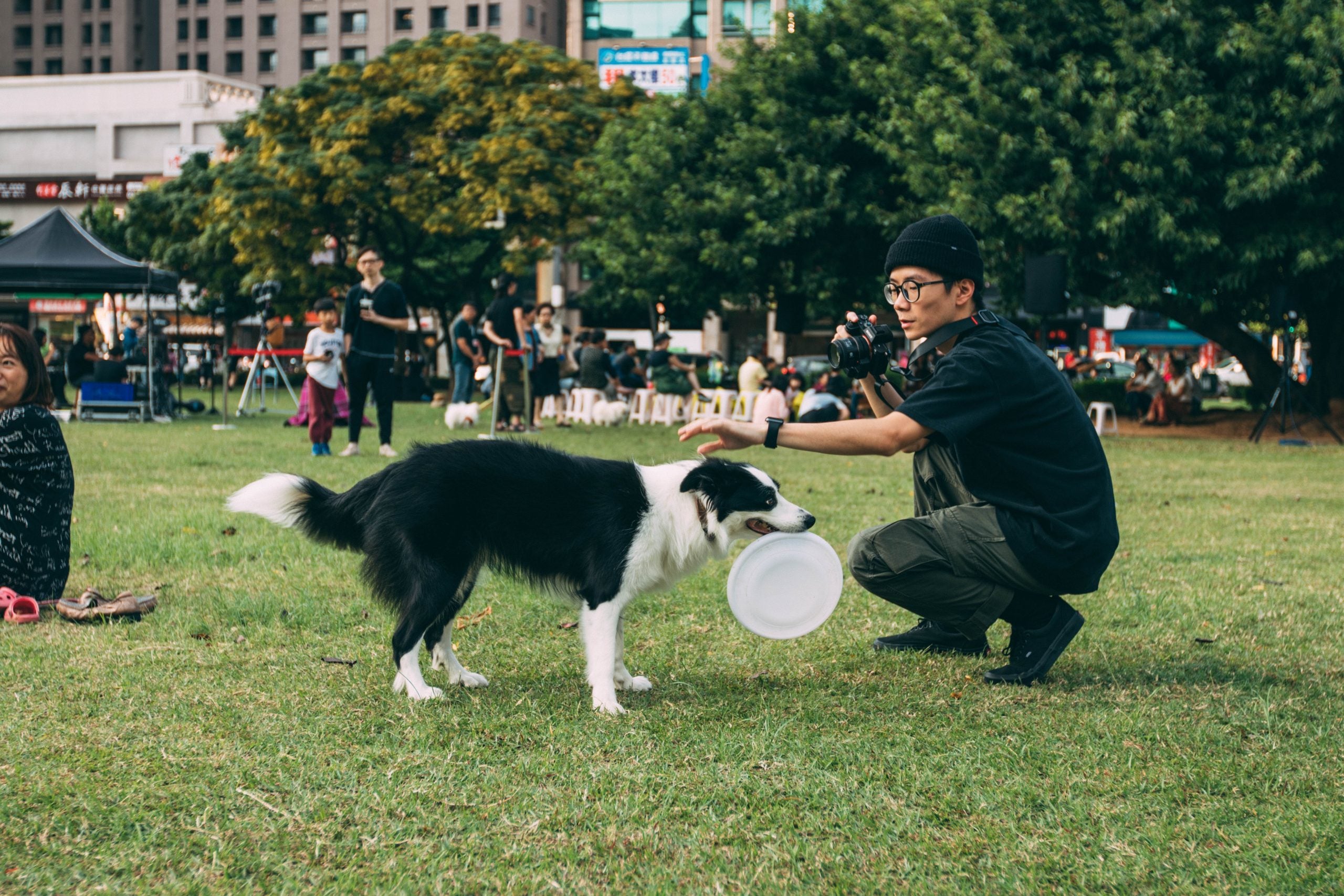 Owner playing with his dog in the park