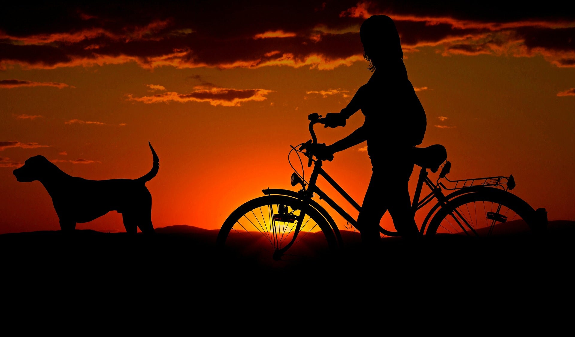 Person on a bicycle next to a dog over a sunset