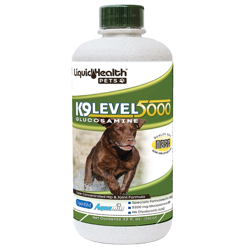 Liquid glucosamine for dogs online