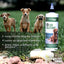 Liquid-Health-Pets-K9-Ear-Solutions