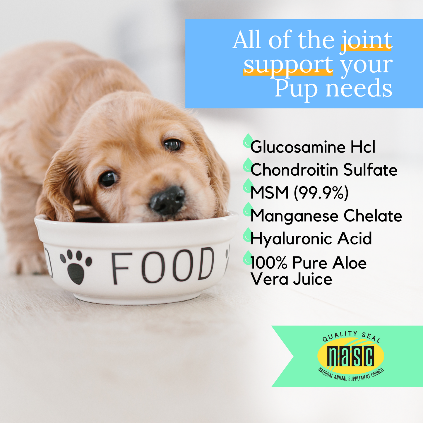 liquid-health-pets-k9-gluc