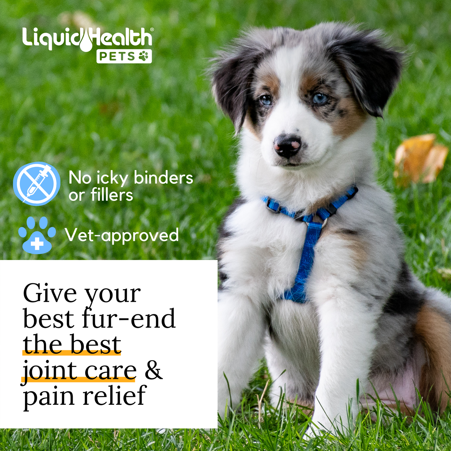 liquid-health-pets-k9-gluc