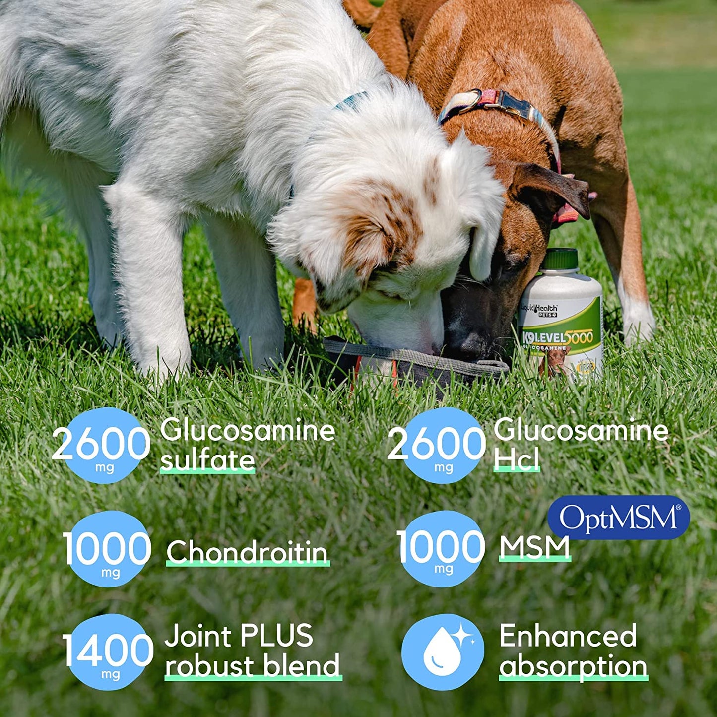 Liquid-Health-Pets-K9-Level-5000