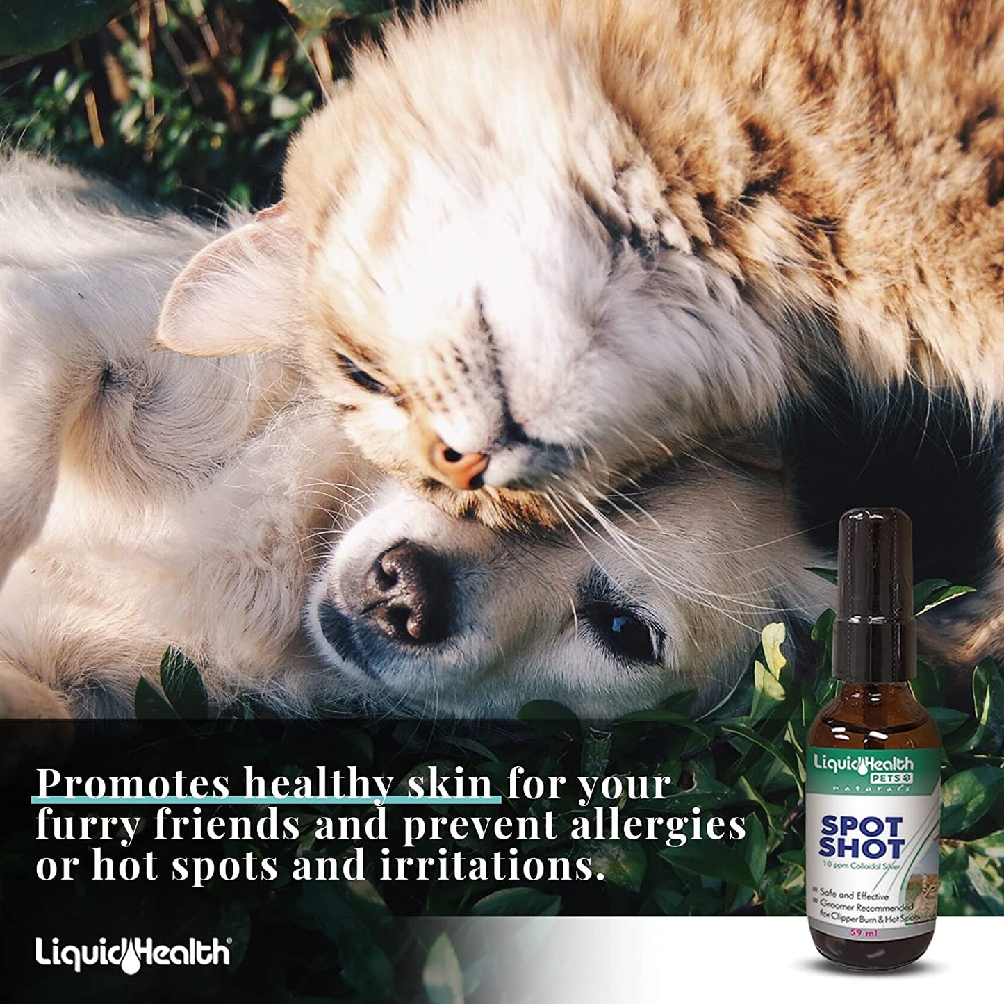 Liquid-Health-Pets-Spot-Shot