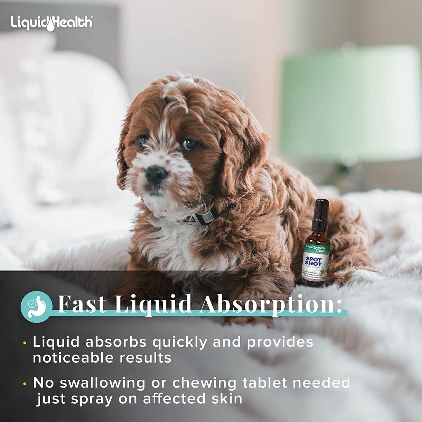 Liquid-Health-Pets-Spot-Shot