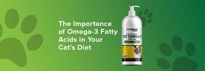 How Omega-3 Fish Oil Can Support Your Cat's Skin and Coat