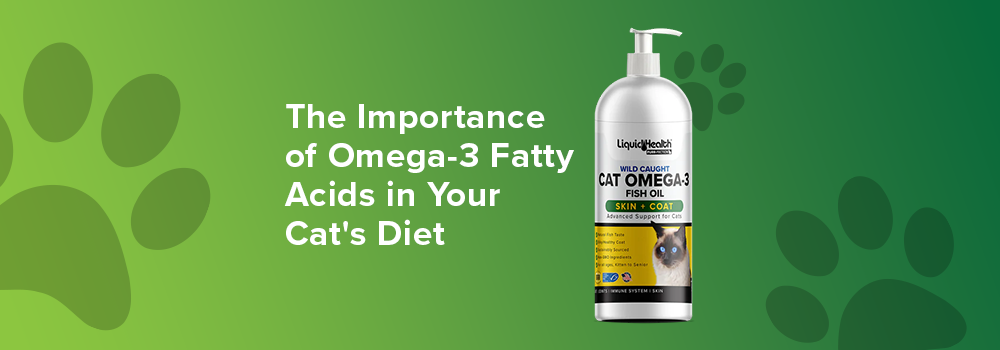 How Omega-3 Fish Oil Can Improve Your Cat's Skin and Coat