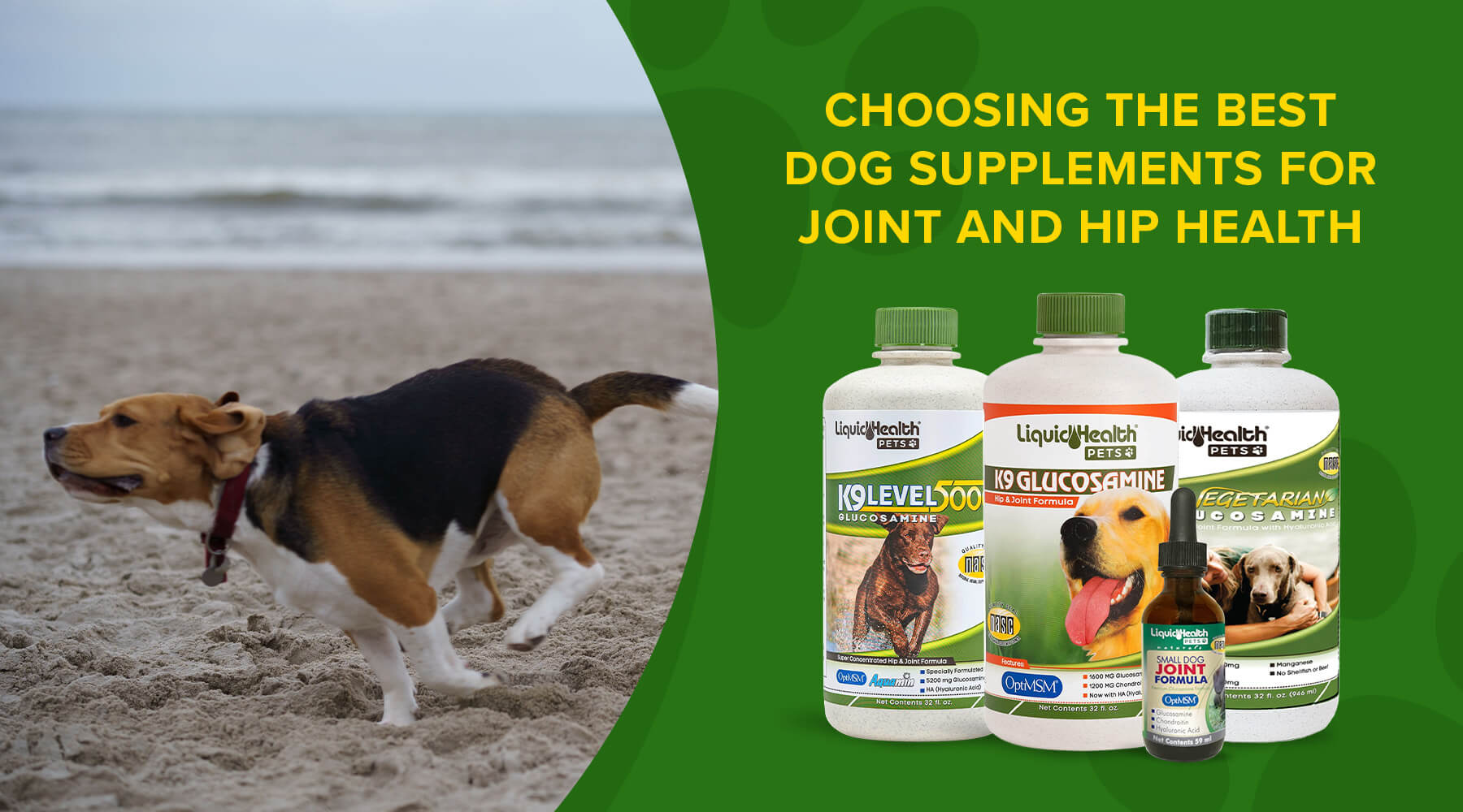 Choosing the Best Dog Supplements for Joint and Hip Health