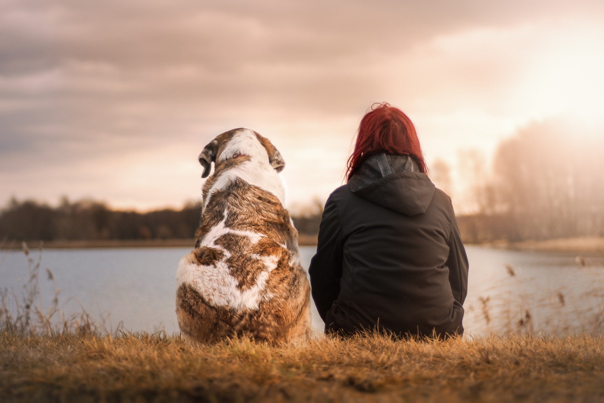 Woman with red hair sitting next to a dog watching the sunrise over the lake