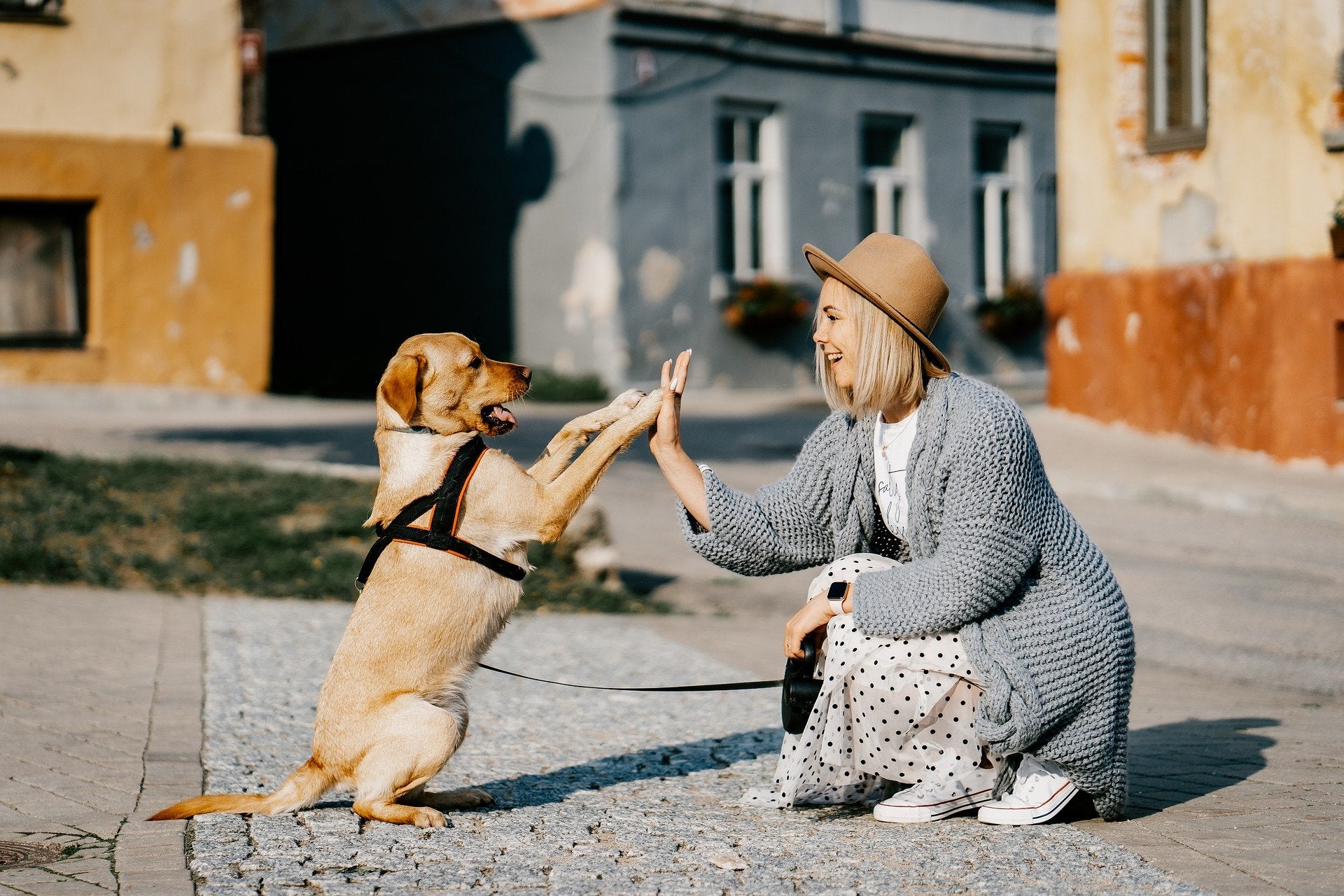 Woman and a dog doing a high-five in the street