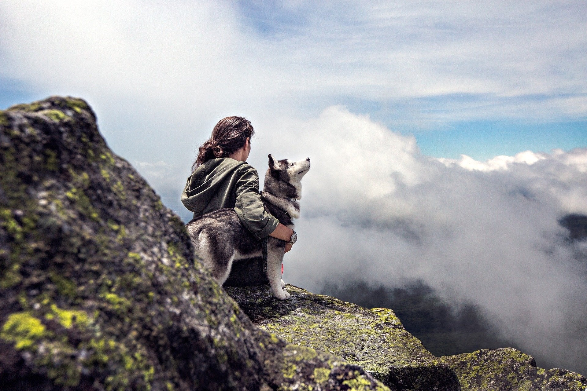 Woman and a husky in the mountain above the clouds