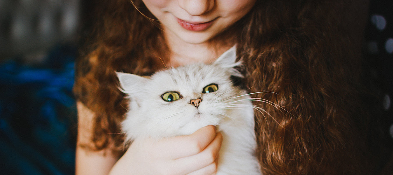 Girl with curly hair holding her white cat
