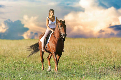 Woman on her horse through a field with blue sky