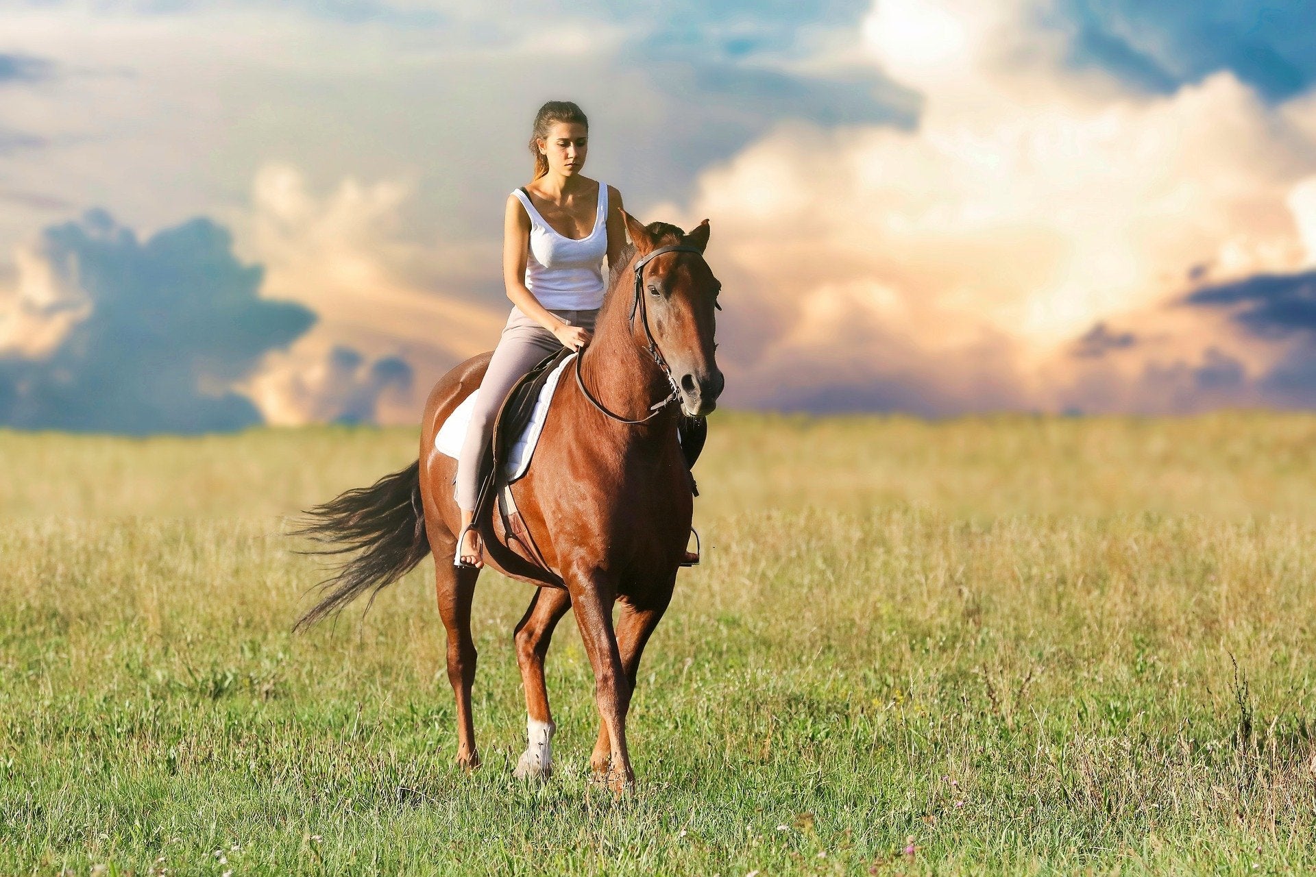 Woman on her horse through a field with blue sky
