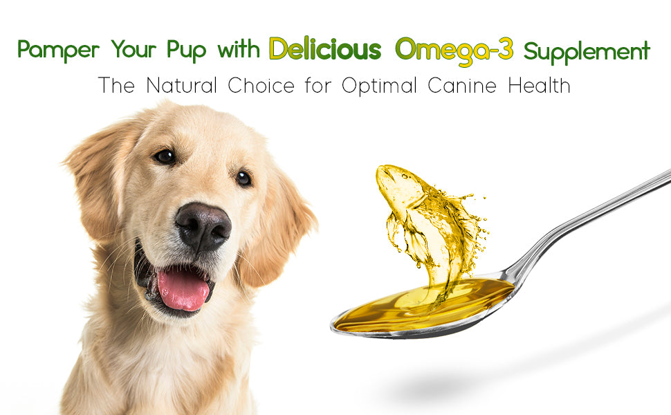 Omega 3 outlet dosage for dogs