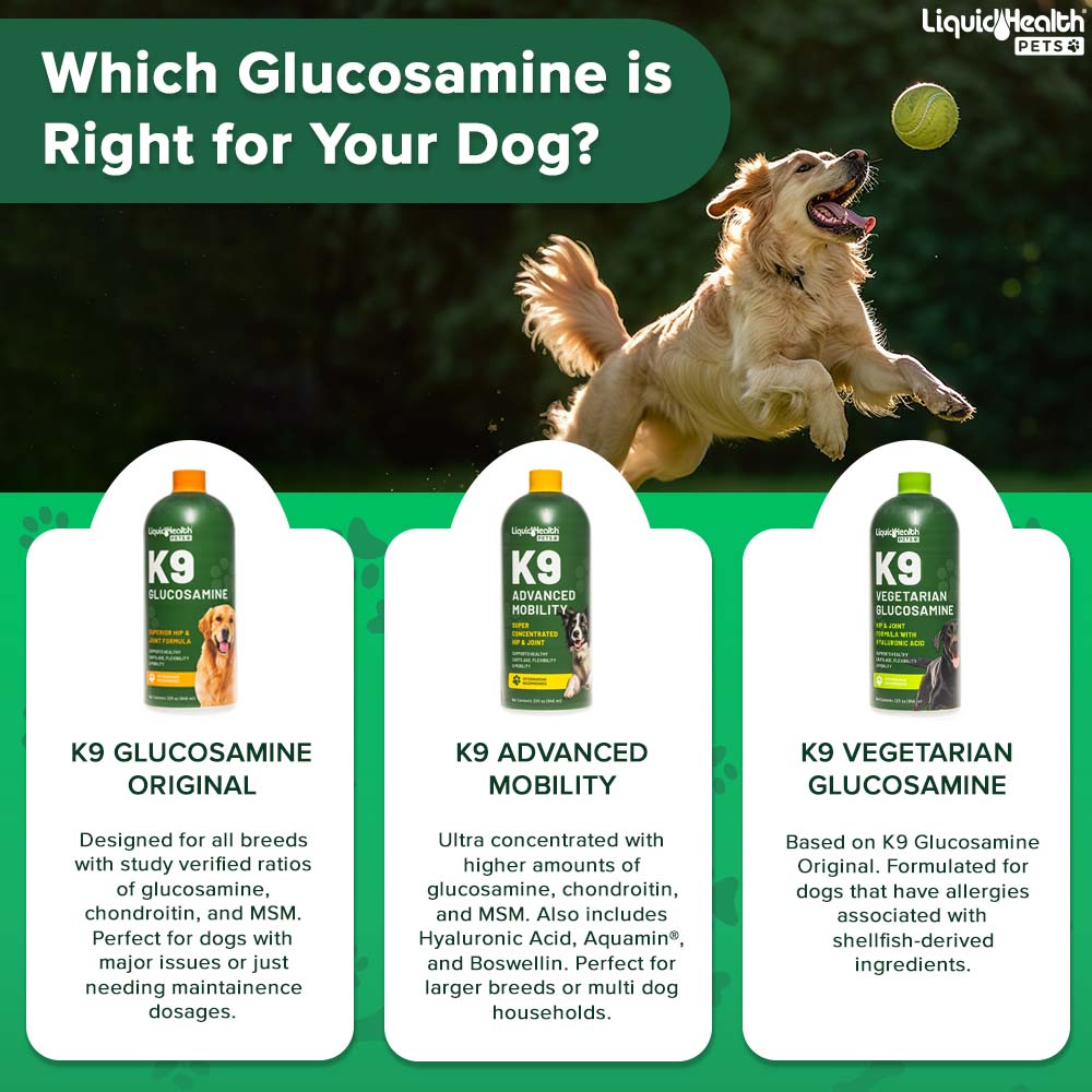 K9 Advanced Mobility Super Concentrated Glucosamine For Dogs