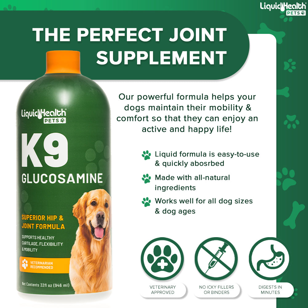 K9 Glucosamine For Dogs Joint Supplement – Liquid Health Pets