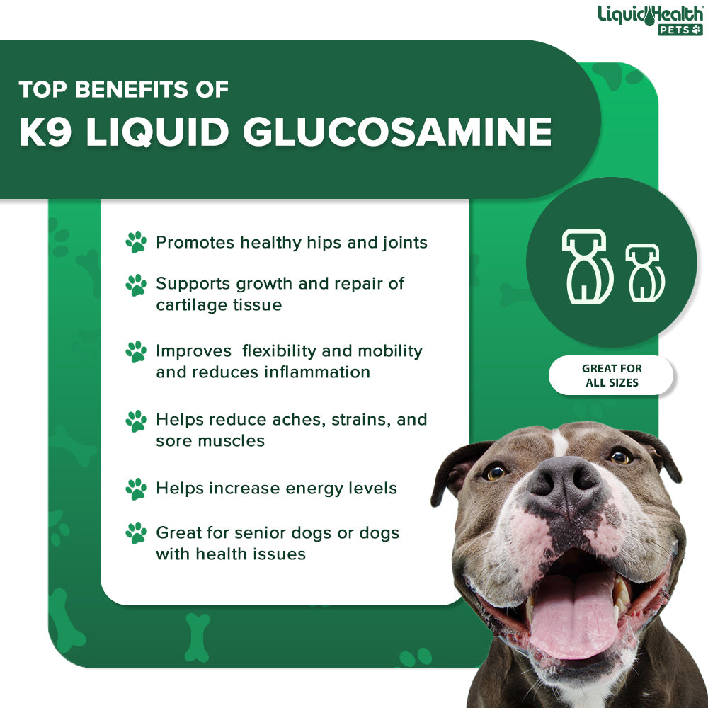 K9 Glucosamine For Dogs Joint Supplement