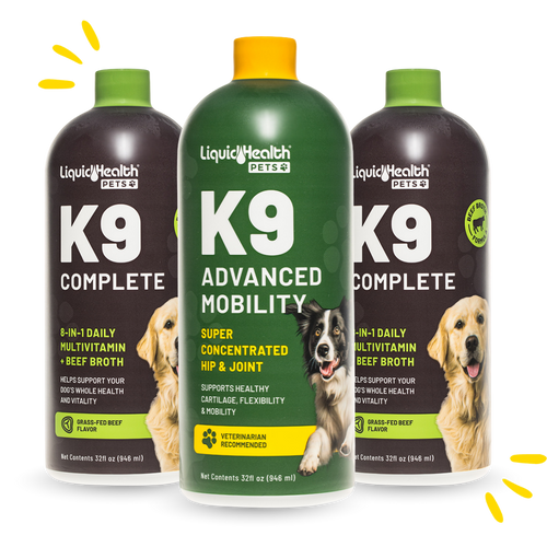 Multi-Dog Household Bundle