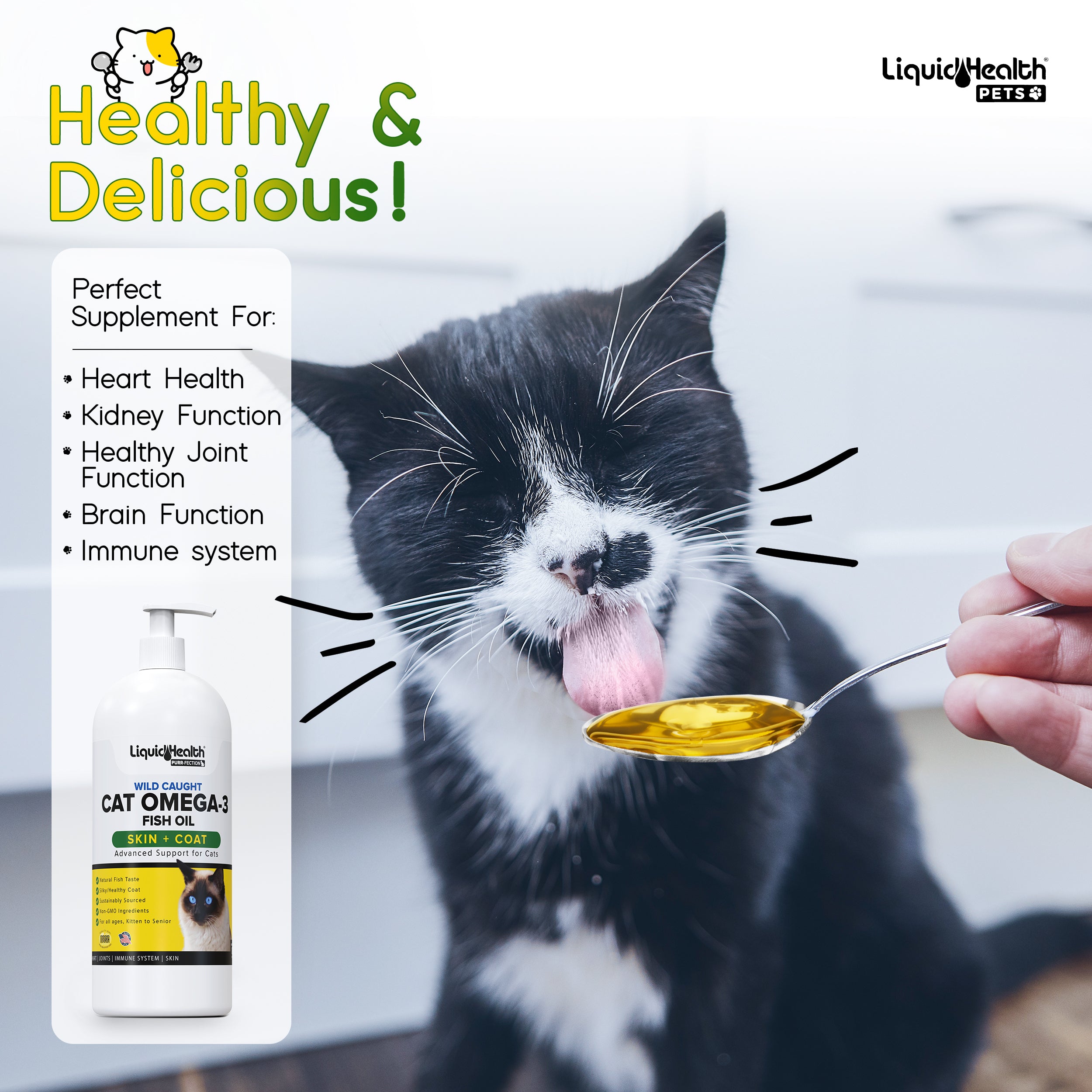 Giving cats shop fish oil