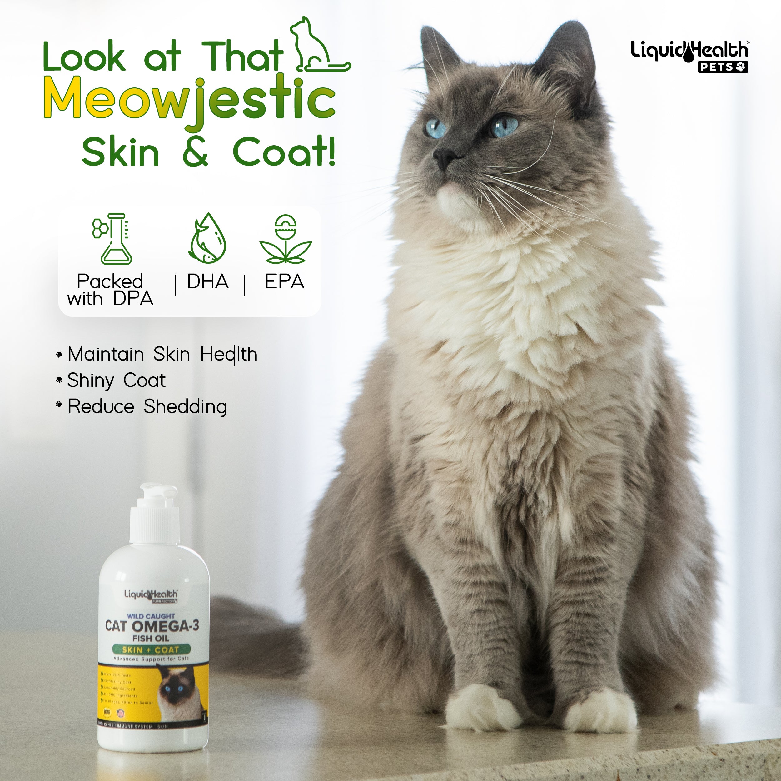 Omega oil for clearance cats