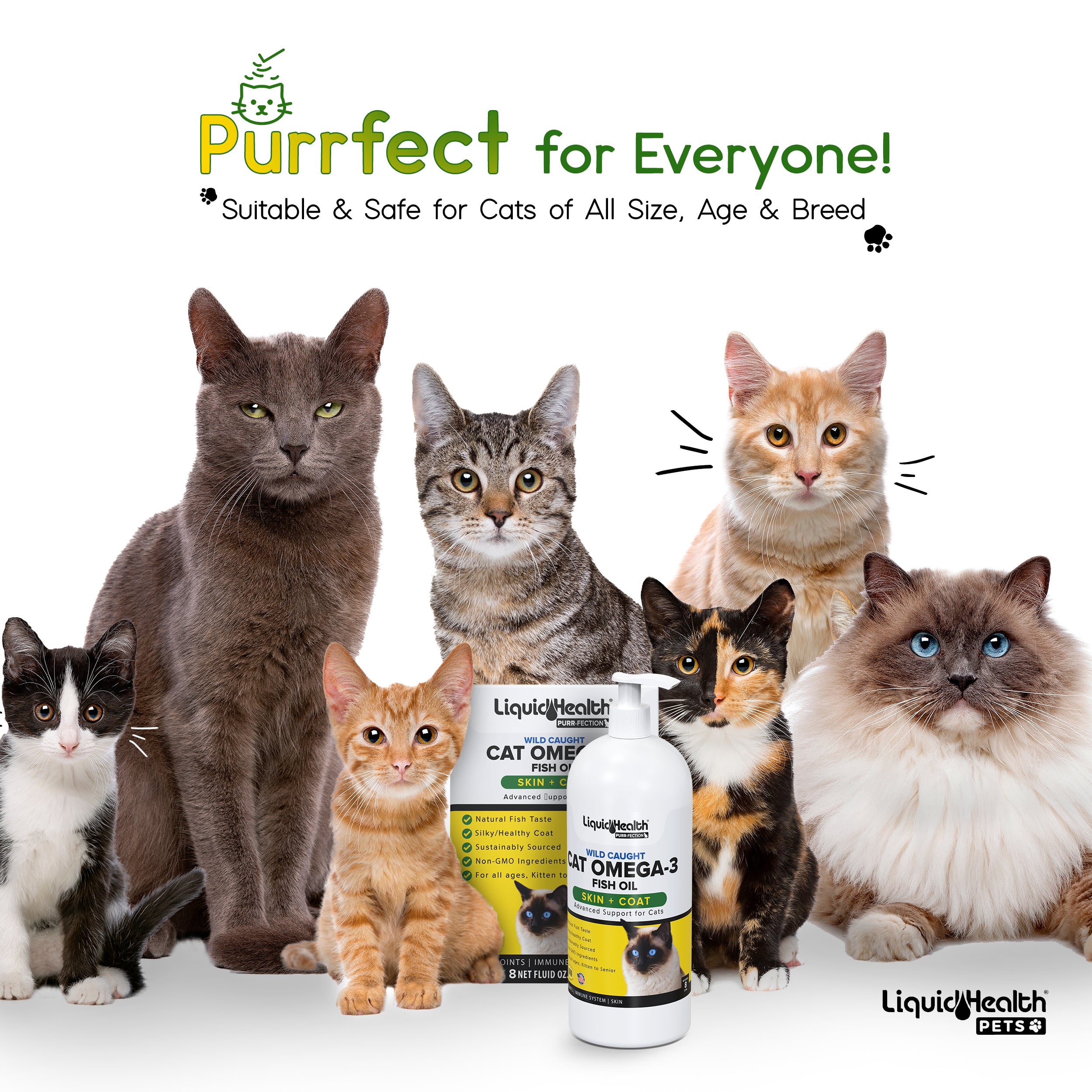 NEW Purr Fection Omega 3 Fish Oil For Cats Liquid Health Pets