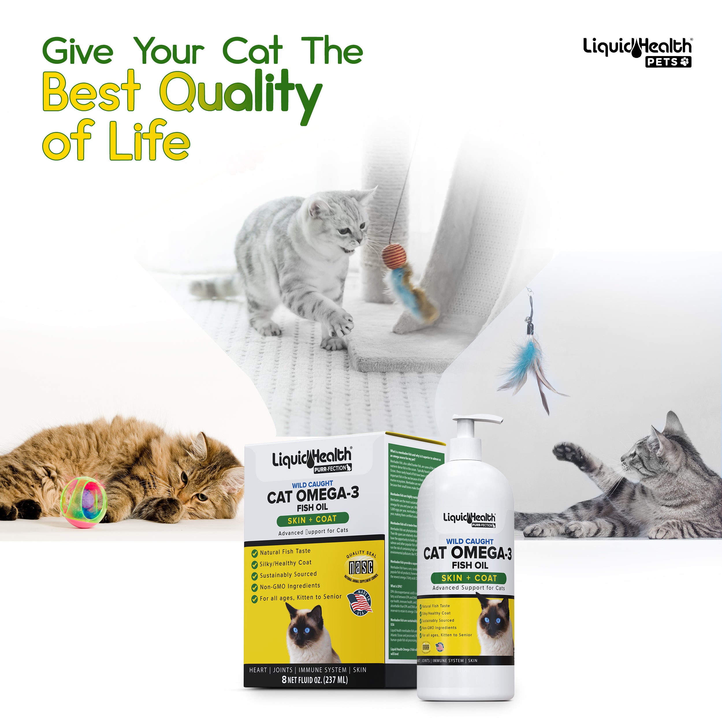 Giving cats 2025 fish oil