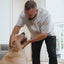 K9 Ear Solutions Ear Cleaner For Dogs