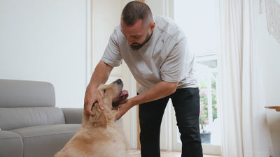 K9 Ear Solutions Ear Cleaner For Dogs