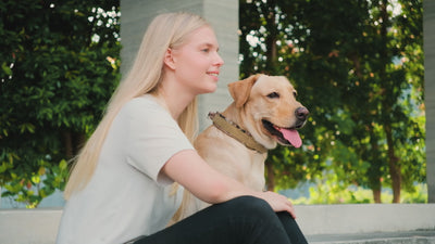 K9 Level 5000 Glucosamine For Dogs