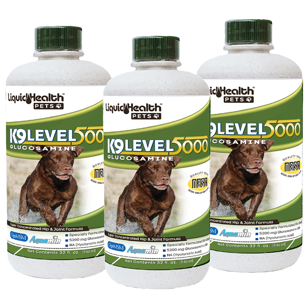 K9 Level 5000 Glucosamine For Dogs Liquid Health Pets