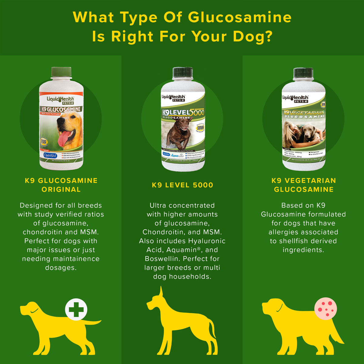K9 Glucosamine For Dogs Joint Supplement – Liquid Health Pets