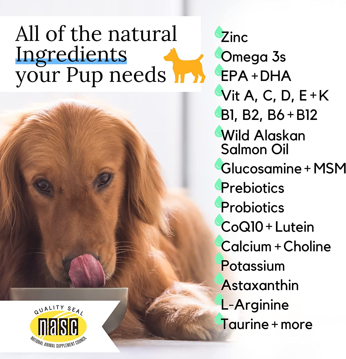 Vitamin k2 hotsell for dogs dosage