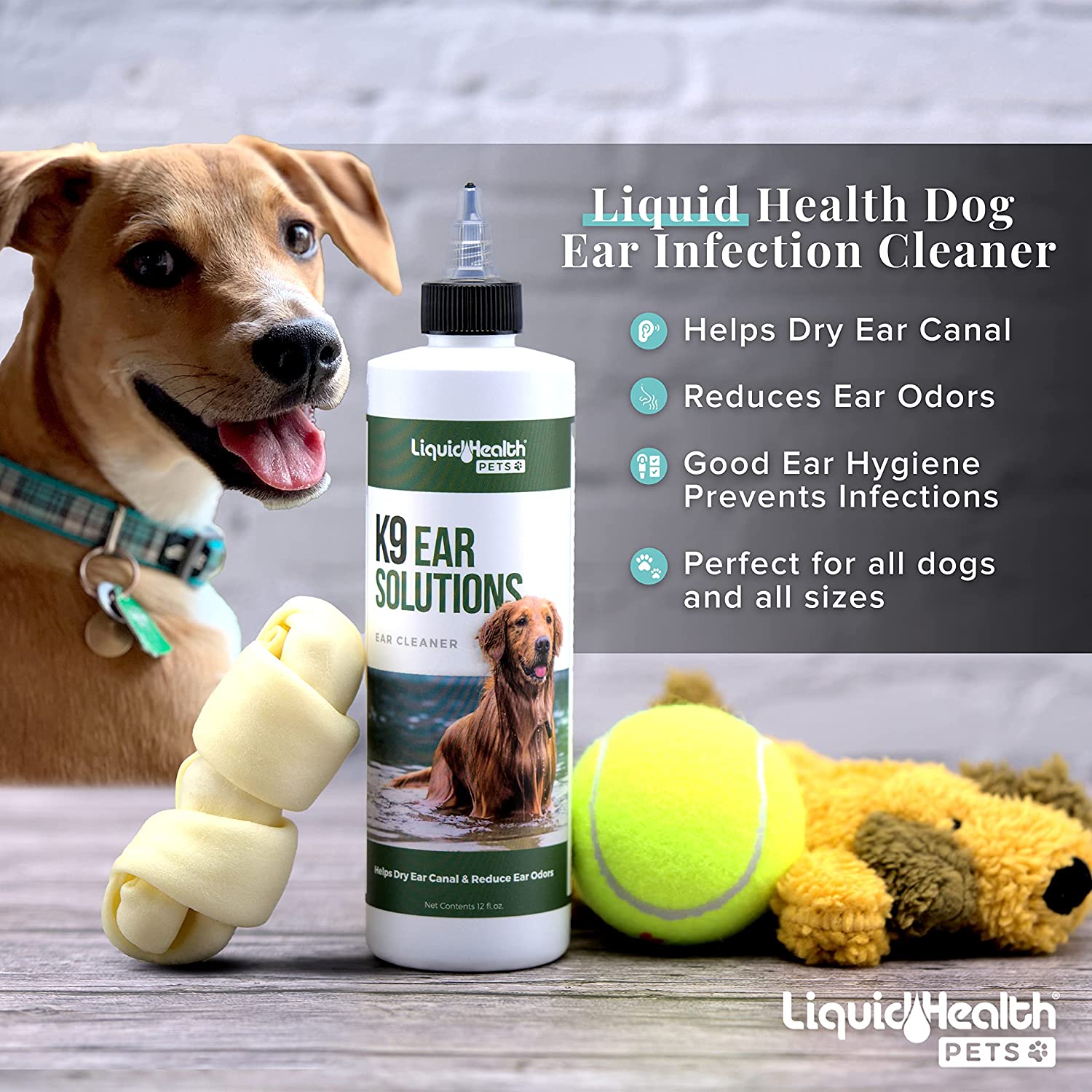 Beagle ear cleaning solution best sale