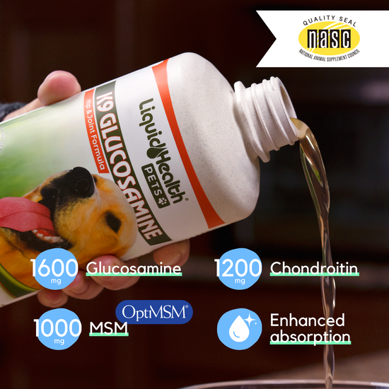 K9 Glucosamine For Dogs Joint Supplement Liquid Health Pets