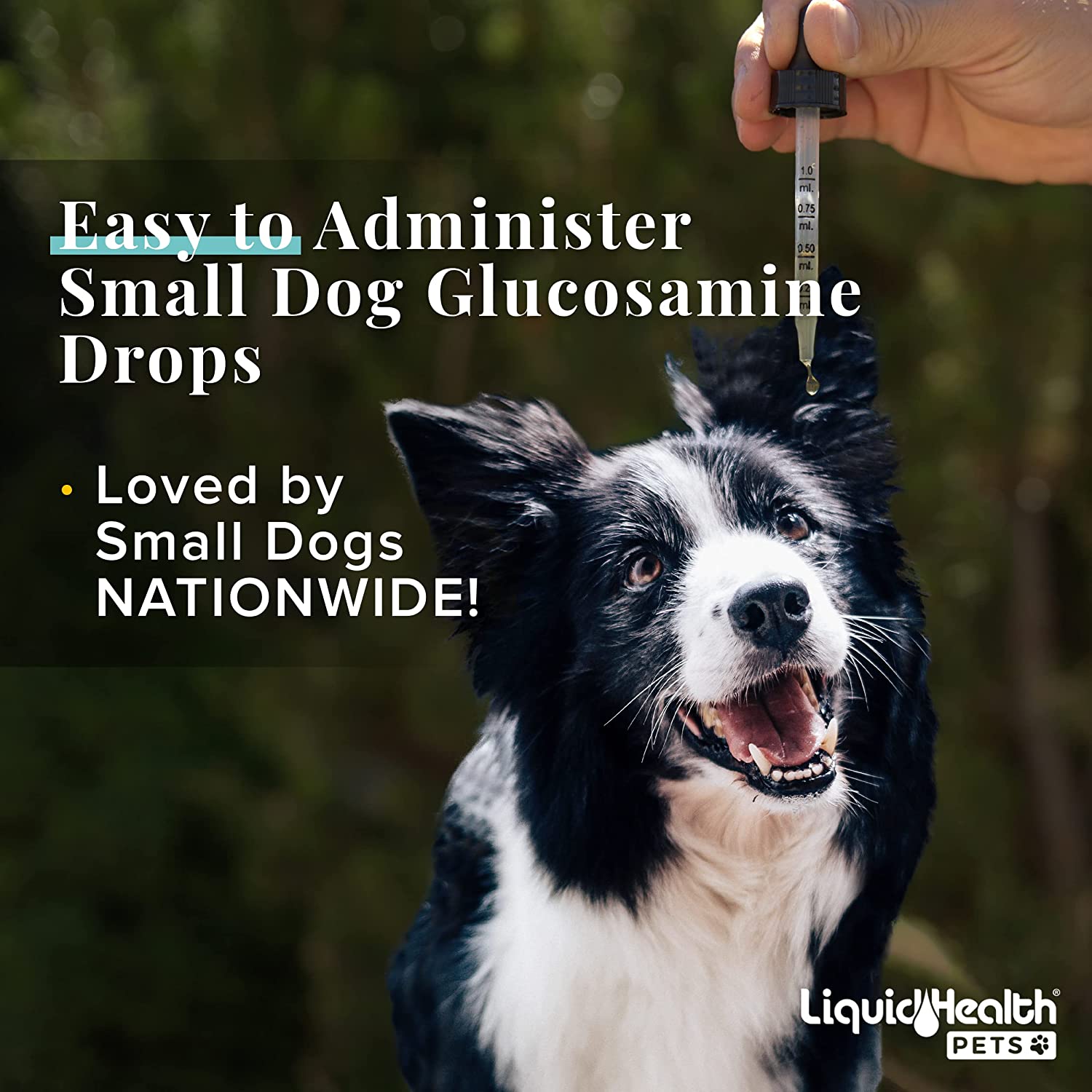 Glucosamine for 2025 small dogs