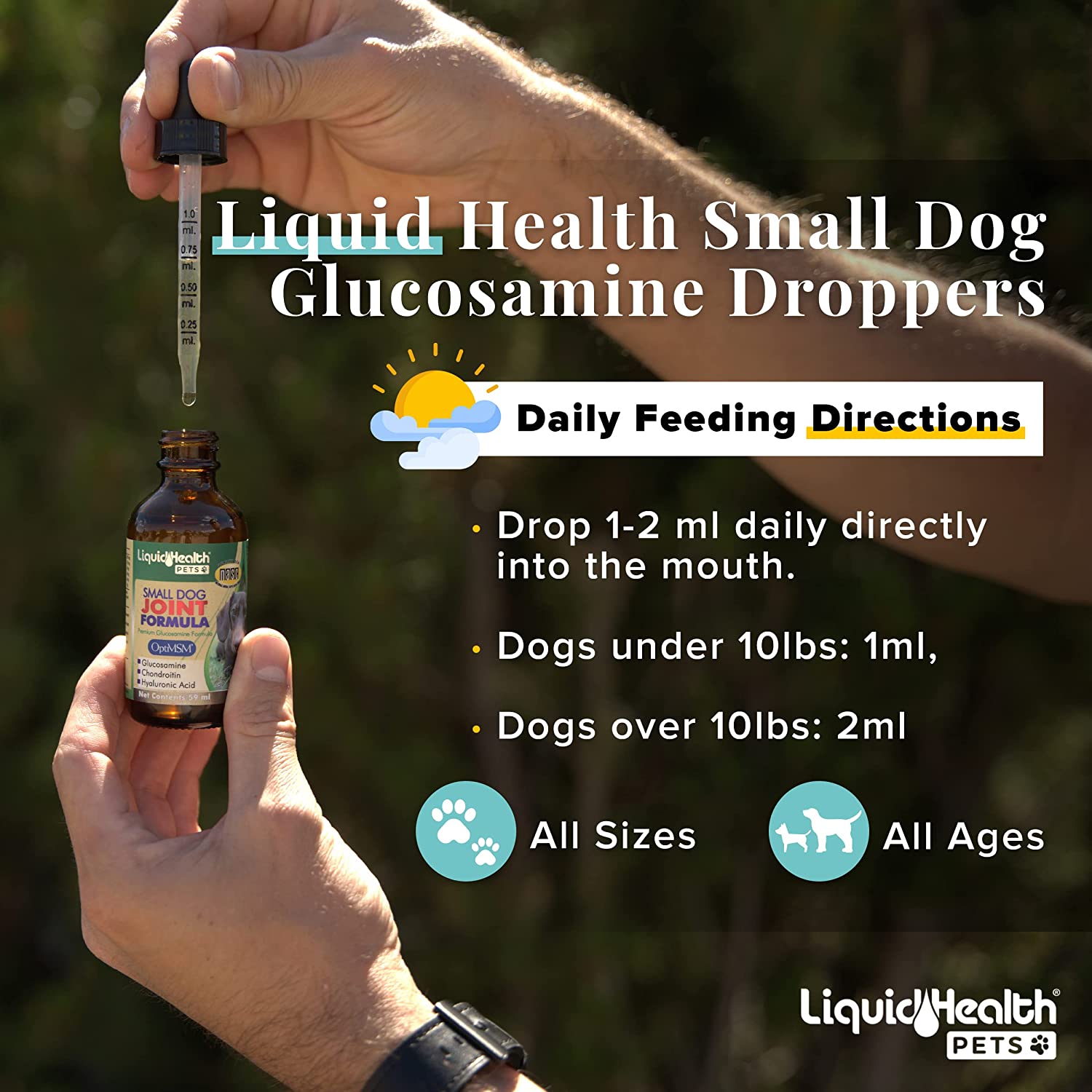 Glucosamine for outlet small dogs