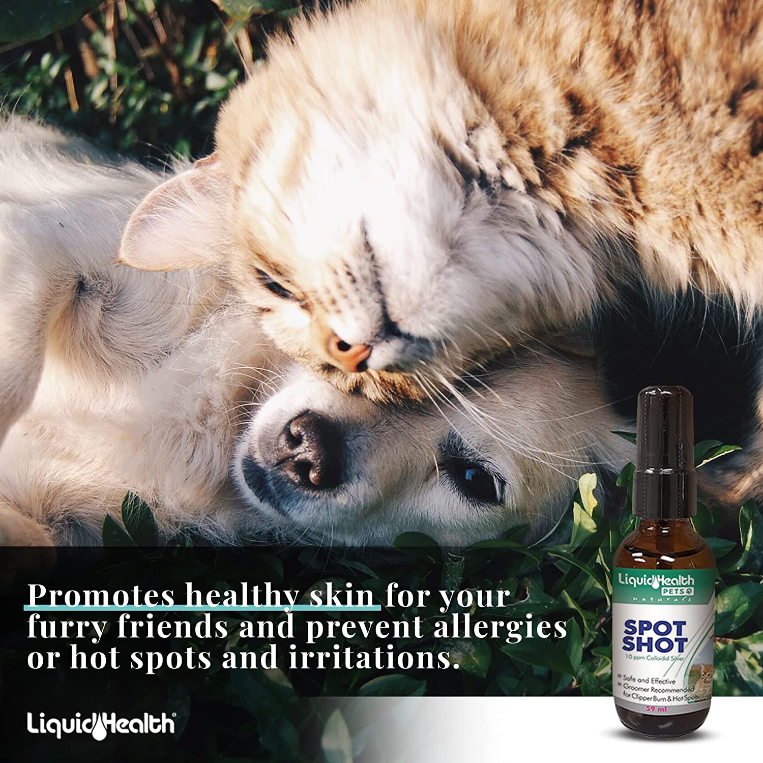 Liquid-Health-Pets-Snapshot