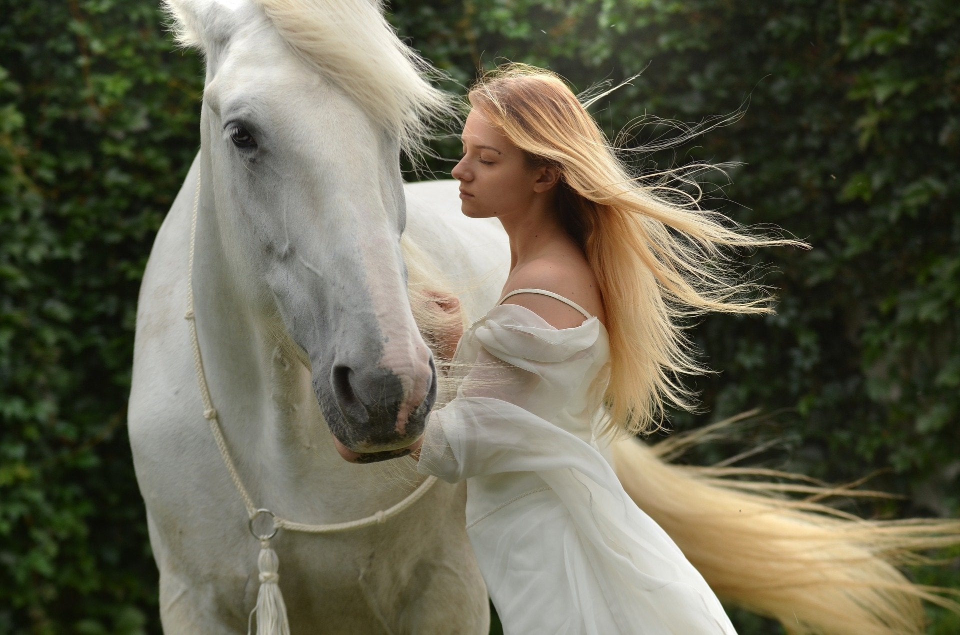 Blonde woman next to a beautiful white horse