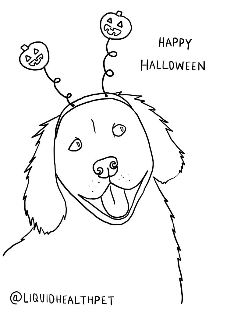golden retriever halloween pet coloring page