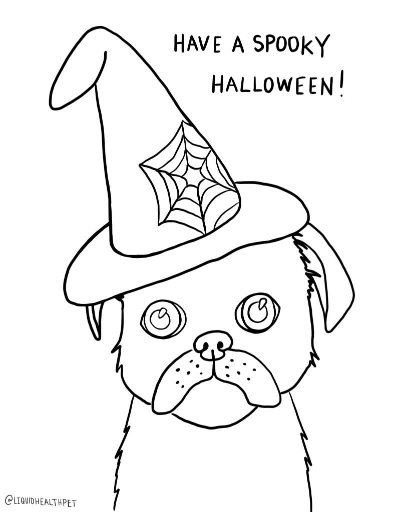 pug in a witch hat 