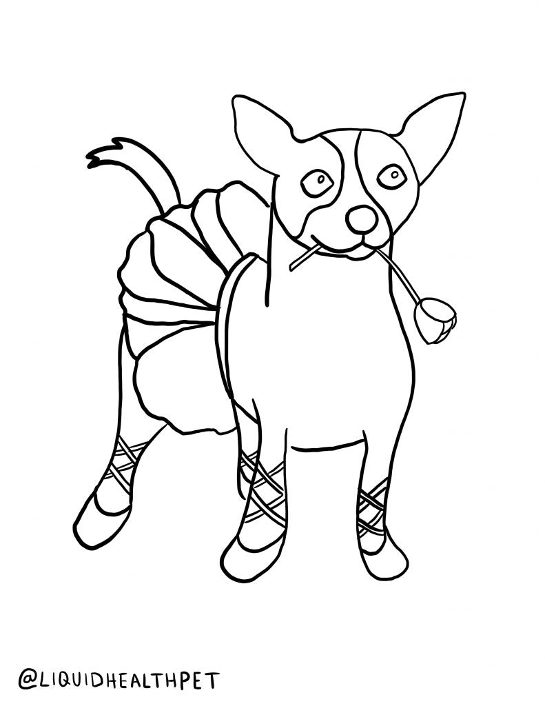 Halloween Pet Coloring Pages | Liquid Health™ Pets