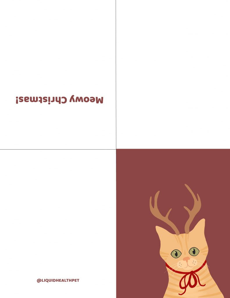 printable Christmas card with a cat on the cover