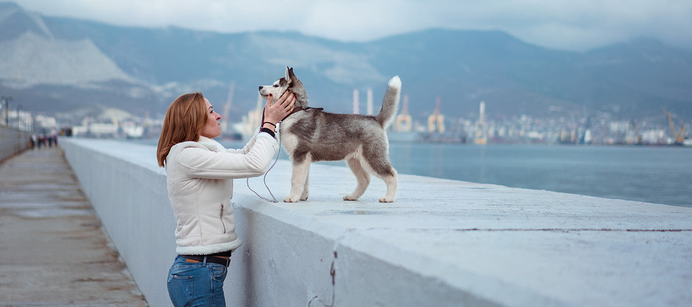 Woman petting a husky puppy next to the ocean