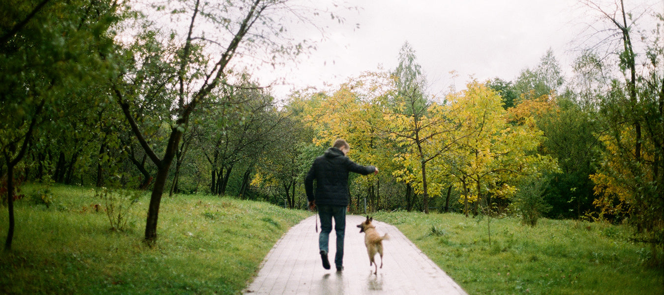 Man with his dog walking down a path in the park